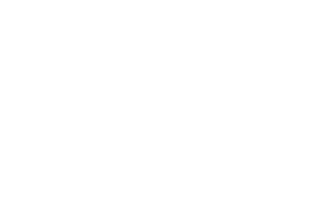 Sticker Visa