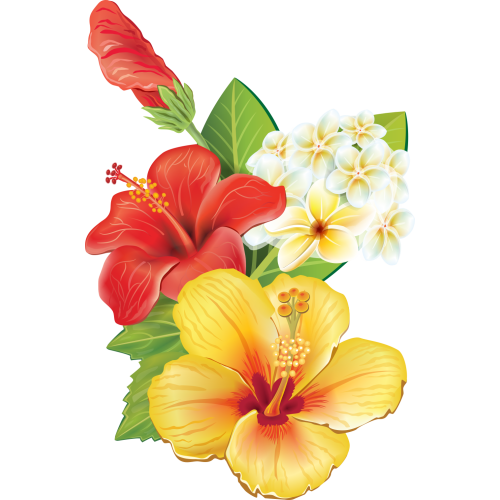 Autocollants Fleur Tropical 4 - ref.d10384