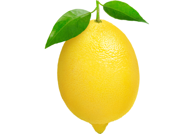 Autocollant Alimentation Fruit Citron 1