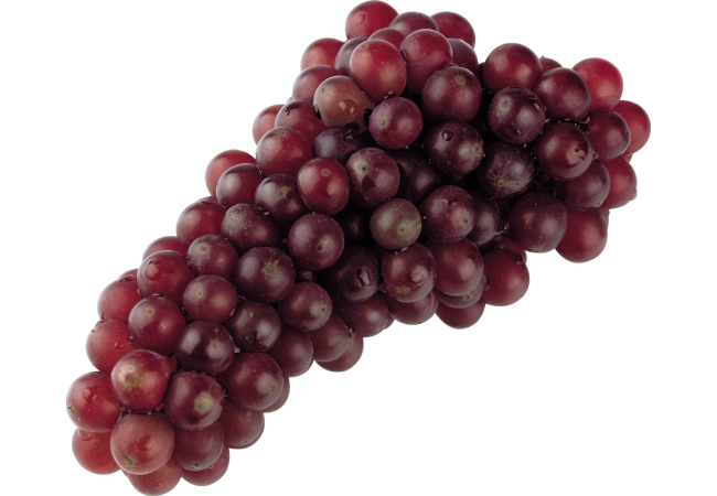 Autocollant Alimentation Fruit Raisins 1