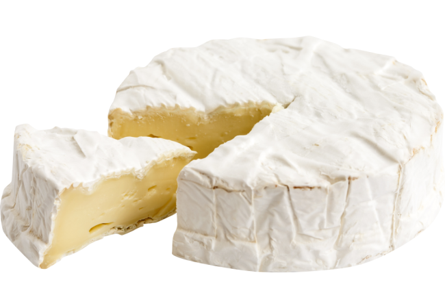 Autocollant Alimentation Fromage Brie 1
